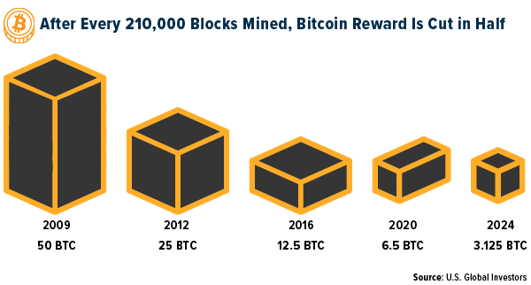 Bitcoin Mining Rewards