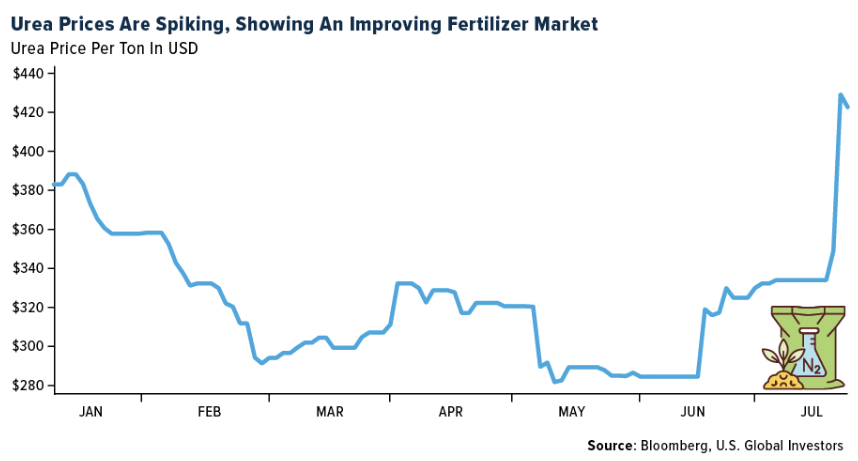 urea prices spiking