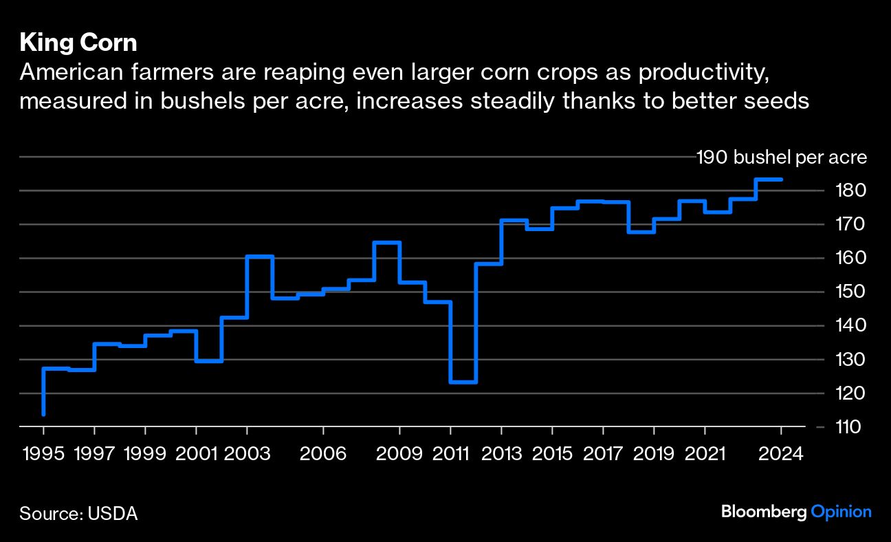 king corn
