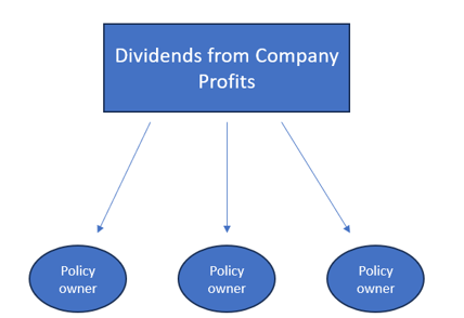 dividends from company