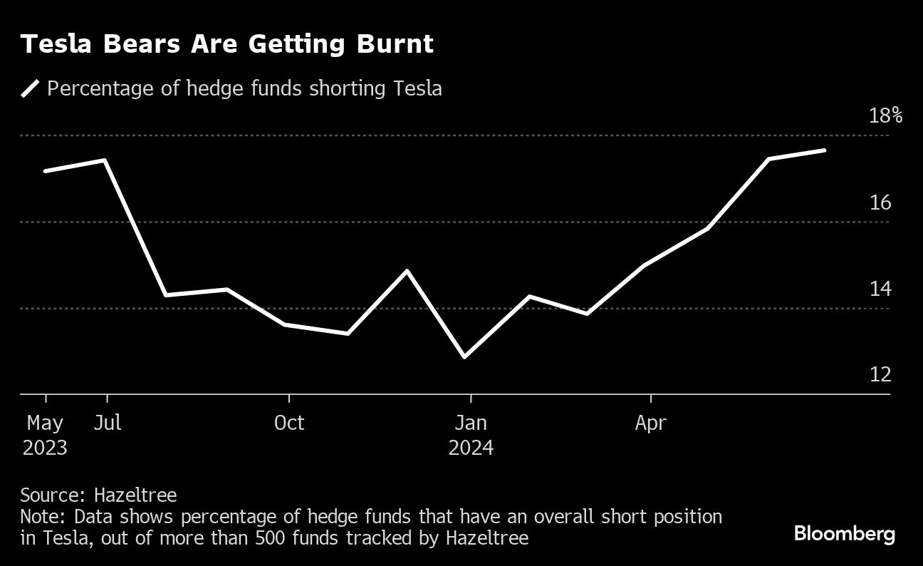 tesla bears