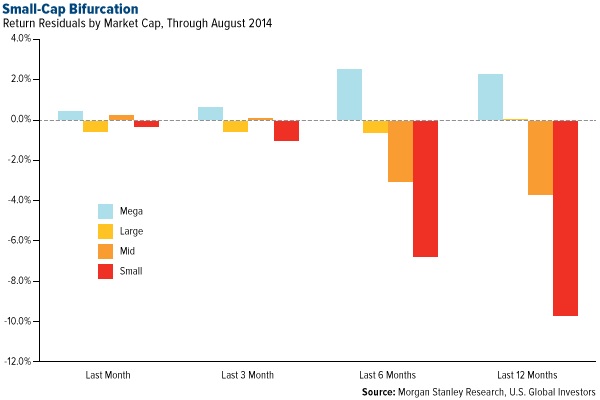 Small-Cap Bifucation