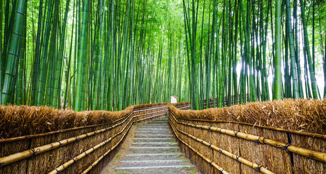 New Paths to More Consistent Equity Alpha New Paths to More Consistent Equity Alpha