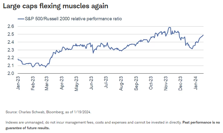 Large caps flexing muscles again