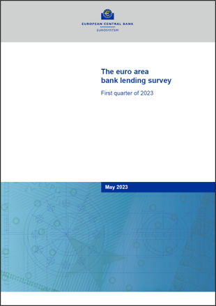 The Euro Area Bank Lending Survey
