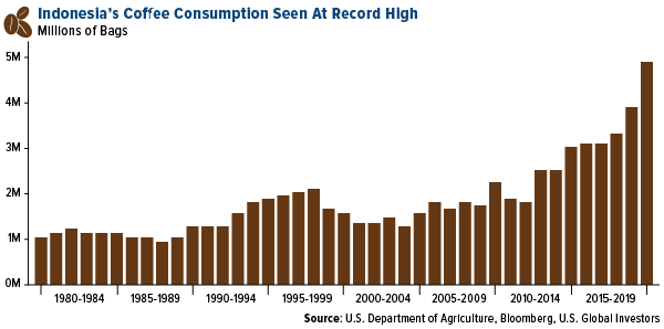 Indonesia's coffee consumption seen at record high