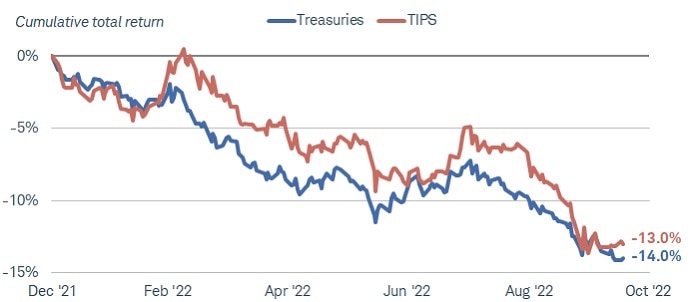 Chart shows cumulative total return for the Bloomberg U.S. Treasury Index and the Bloomberg U.S. Treasury Inflation Protected Notes Index from December 2021 to October 2022. The Treasury index is down 13% and the TIPS index is down 14% year to date.