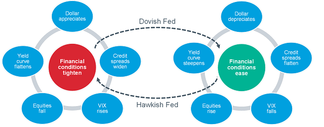 Fed Policy Loop