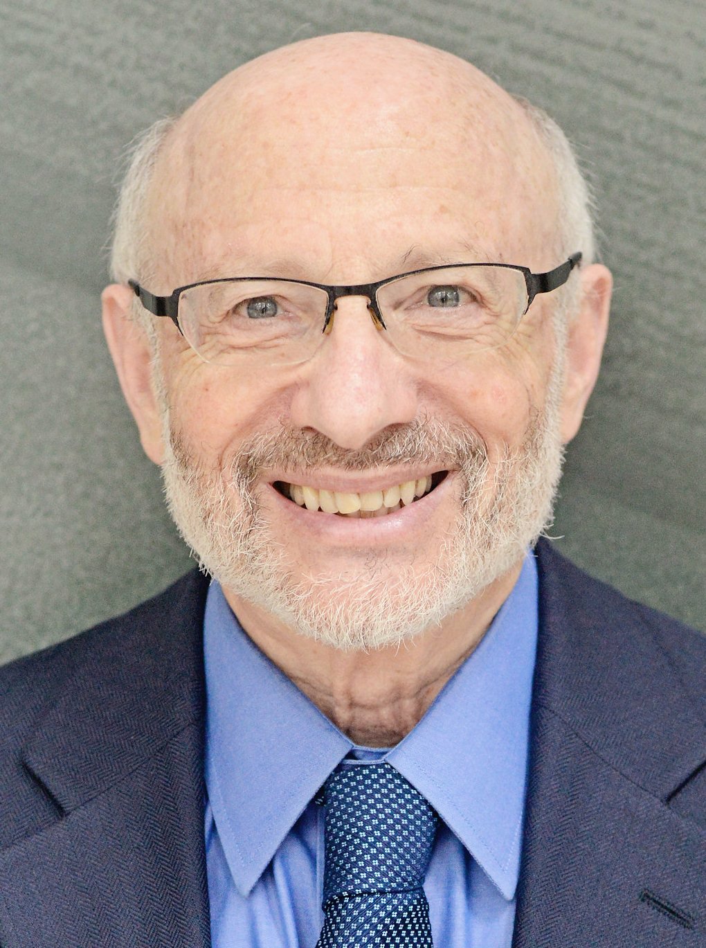 michael edessess
